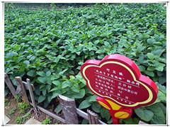 首页| w66集团中国最老牌官方网站