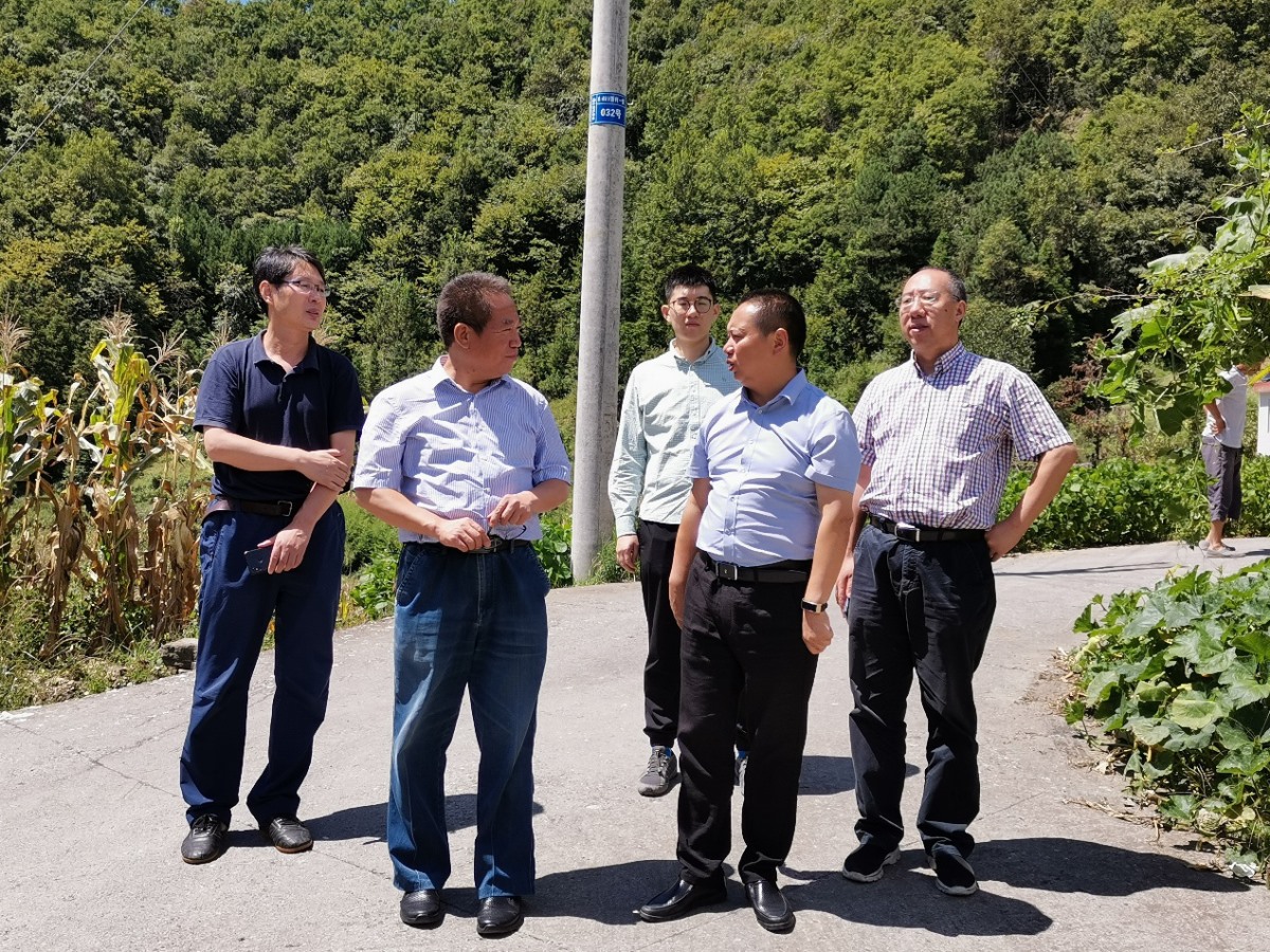 首页| w66集团中国最老牌官方网站