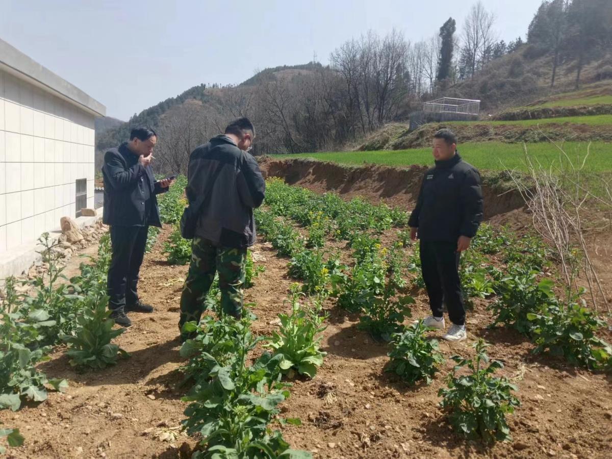 首页| w66集团中国最老牌官方网站