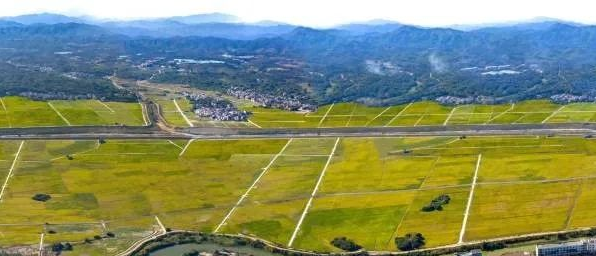 首页| w66集团中国最老牌官方网站